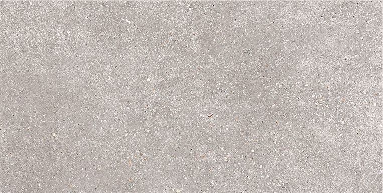 GT183VG Керамогранит Coral Rock_GT Сер. 30x60 _ 1\58,32 под бетон